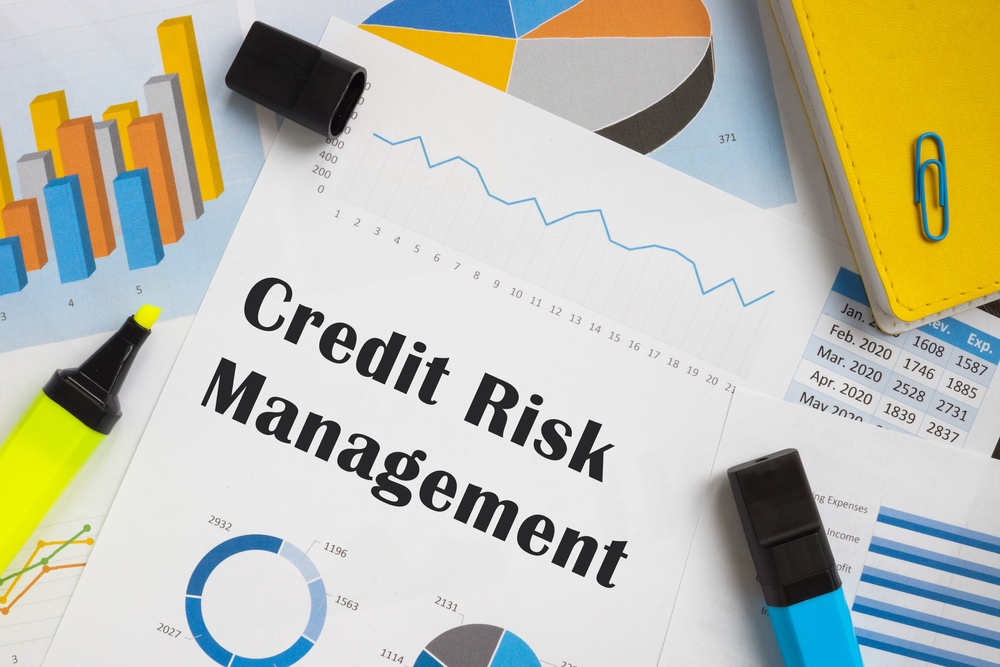 Credit Risk Management